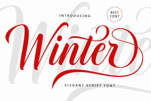 Winter: An Elegant Script Font for Timeless Designs